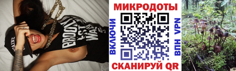 Галлюциногенные грибы Psilocybe  Оленегорск 
